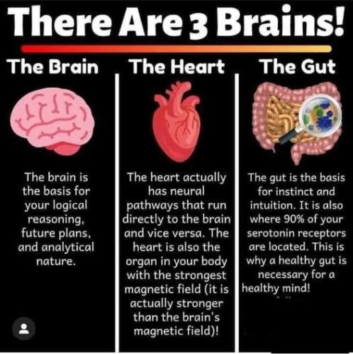 ,                             ,    ,