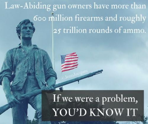 LEGAL GUN OWNERS