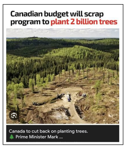 2 billion trees