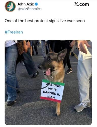 Screenshot_20260112_222813_Instagram