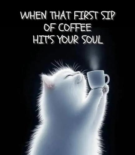 17573757776778956446469119533454_383322354684707