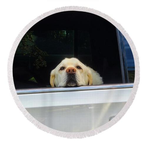 Screenshot_20260118_163130_Brave