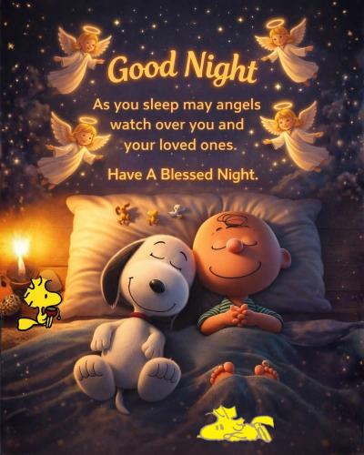 617901897_910374878135722_7526803527755355635_n