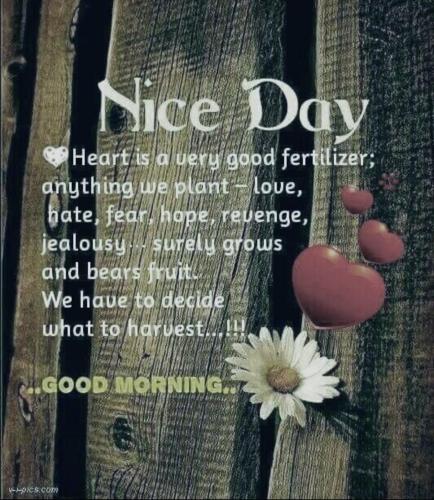 621808468_1500519518513269_8351788169624325228_n