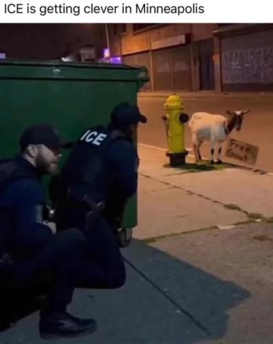 FB_IMG_1768531791189