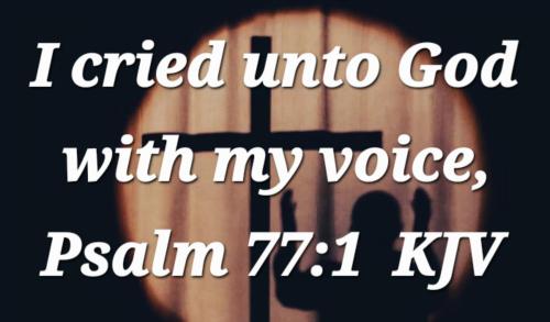 e71a4150-0603-45c4-a02c-40e23984393b