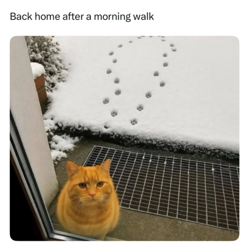 back-home-after-morning-walk