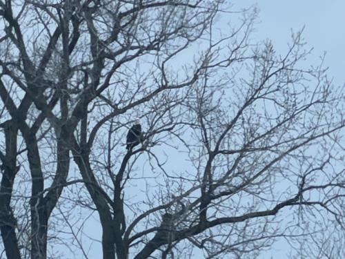 9b11067e-0a95-4753-afcd-a5c33adbc394