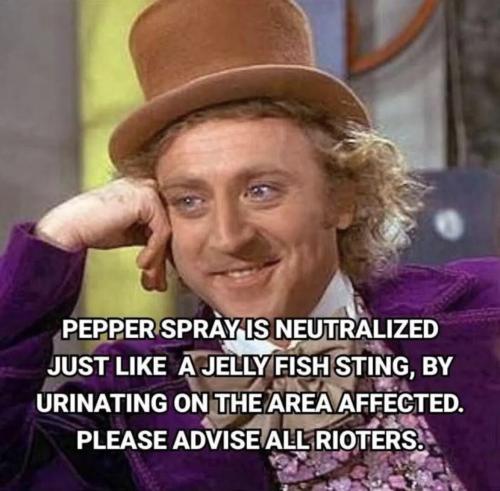 3a652c4990855a98656f7ed8bcf9fb42