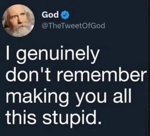 i-don't-remember-making-you-stupid