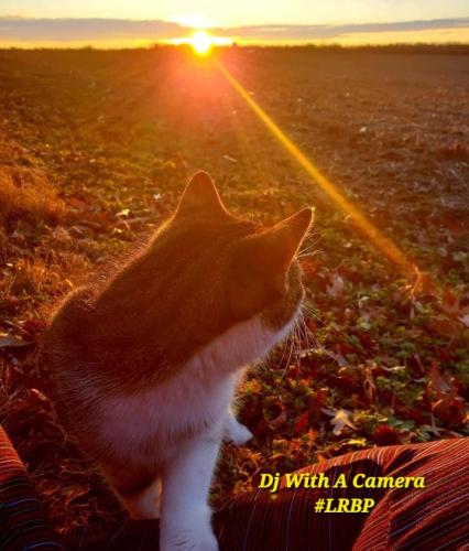 Screenshot_20260107_075114_Gallery