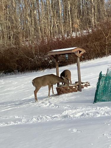 D10AABF5-7BC1-44B4-B3BC-EC81E1CEB9C7