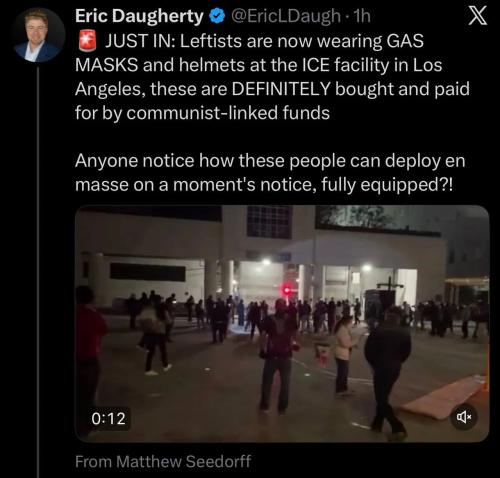 leftists-wear-gasmasks-helmets