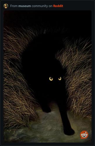 RDT_20260131_1305452765220956988337552