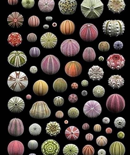 c7692542-c9ef-430c-9978-f7bcad325845