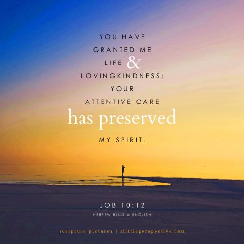 job-10-12-GMT-unsplash