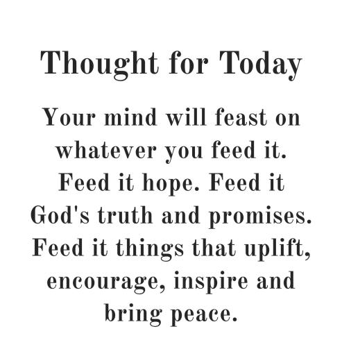 611560334_894747476392933_247974763096044484_n