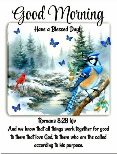 600532415_913887964451080_4169773734402984299_n