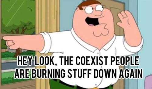 IMG_20260130_181237_931