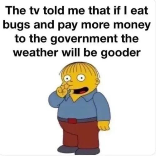 TESTHUB_photos_users_KPBY8Tc46ldqLjWXf6bqxqOW3AR2_-OjIRLbV3J_FPOgKc8WP_img_rsz__1100x1100