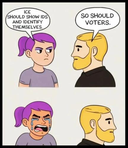 ice-show-ids-voters-too