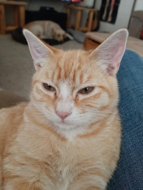 FB_IMG_1750726964639