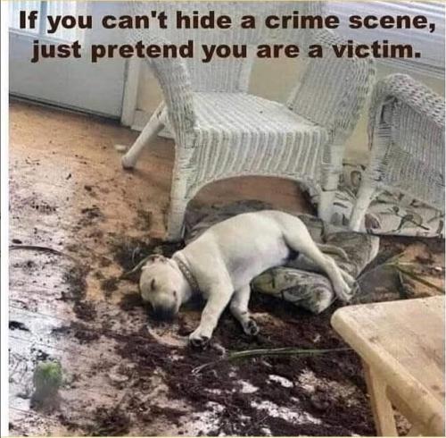 FB_IMG_1744487600927