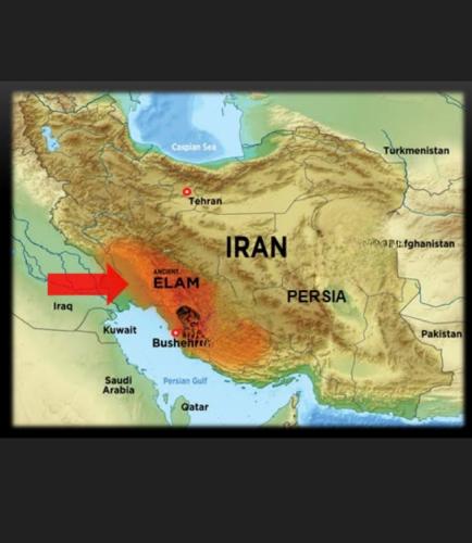 Screenshot_20260110_211046_Brave