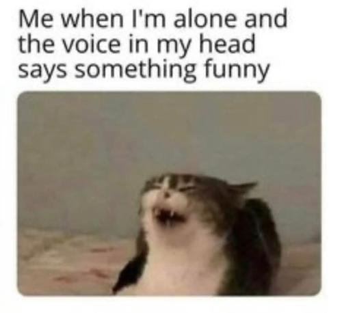 1BA0394C-000E-46FC-B372-CCD2A688D394