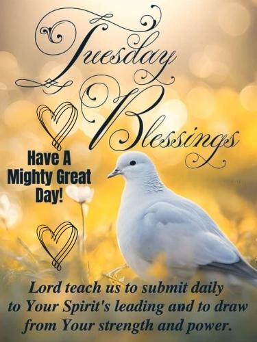 616064770_903440478856966_1997084009893250605_n