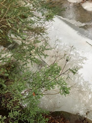 38C8620F-F672-44B6-ACDC-B1478FDE5F09