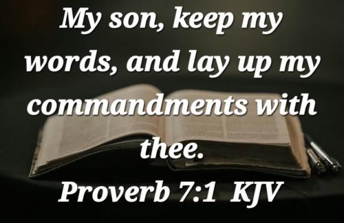 97a0b2fc-5d86-4b45-8d76-adc2c50573de