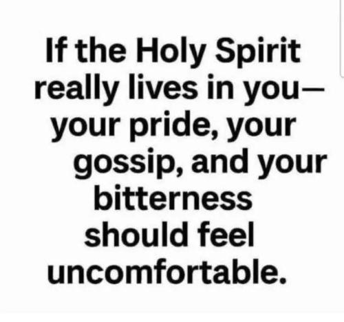 IMG_20260111_151148_785