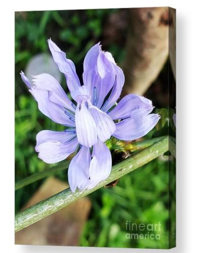 Screenshot_20260114_111246_Brave