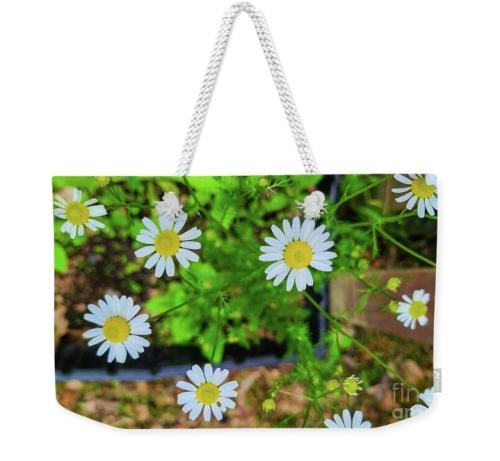 Screenshot_20260123_135008_Brave