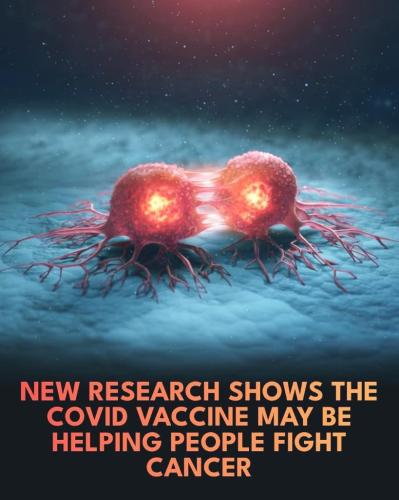 08fba623-8ef4-4035-bf09-813694c2cbea