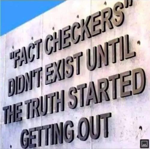 1769770549146704620169983011011_3139484794894