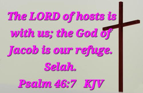 c6cc04a1-4bf8-4c8c-b661-49d385b913e0