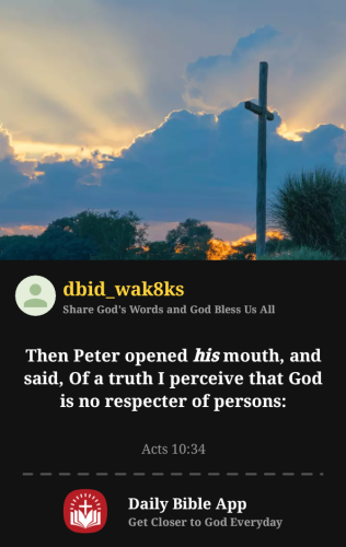 2025-12-311767226995808