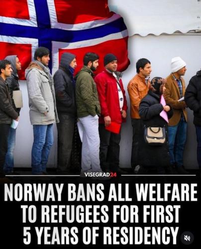 IMG_20260127_142034_710