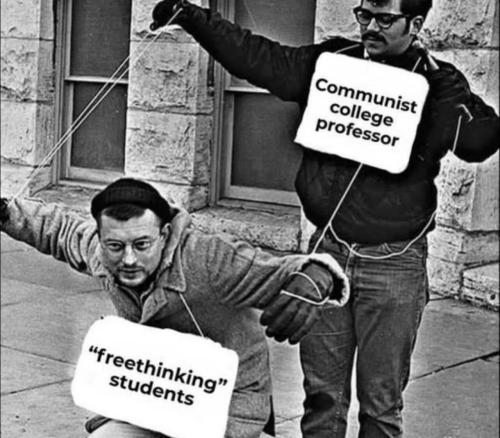 professor-students
