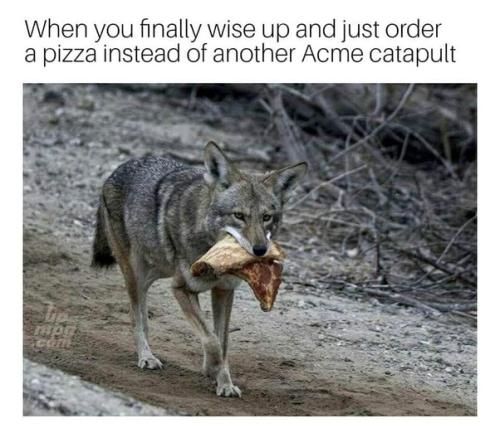 main-qimg-e3024d3b28737836c54e65f73bd7acf5