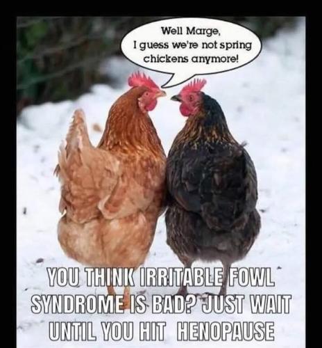 FB_IMG_1769624617322