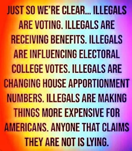 illegals-are....