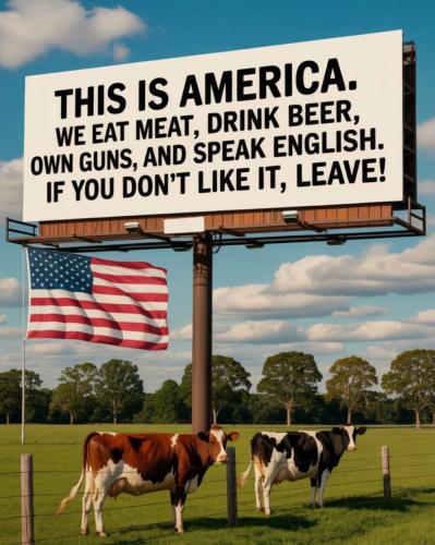 This_is_America_dont_like_it_LEAVE