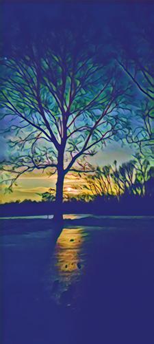 IMG_20260129_091541563_Bumblebee