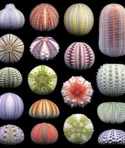 3670247b-5090-47aa-83b5-07370fd8b440