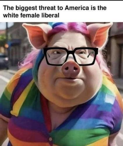 FB_IMG_1767900773068