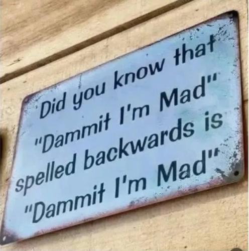 176821789729978228480985610068_330703886317021