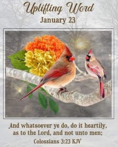 FB_IMG_1769174139743